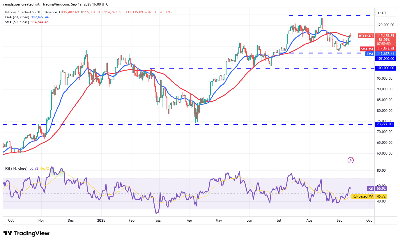 DogeCoin ، Cryptocurrency ، Bitcoin Price ، XRP ، Markets ، Cryptocurrency Exchange ، Cardano ، تحليل الأسعار ، عملة Binance ، Chainlink ، تحليل السوق ، سعر الأثير ، Solana ، Bitcoin ETF ، ETF ، SUI