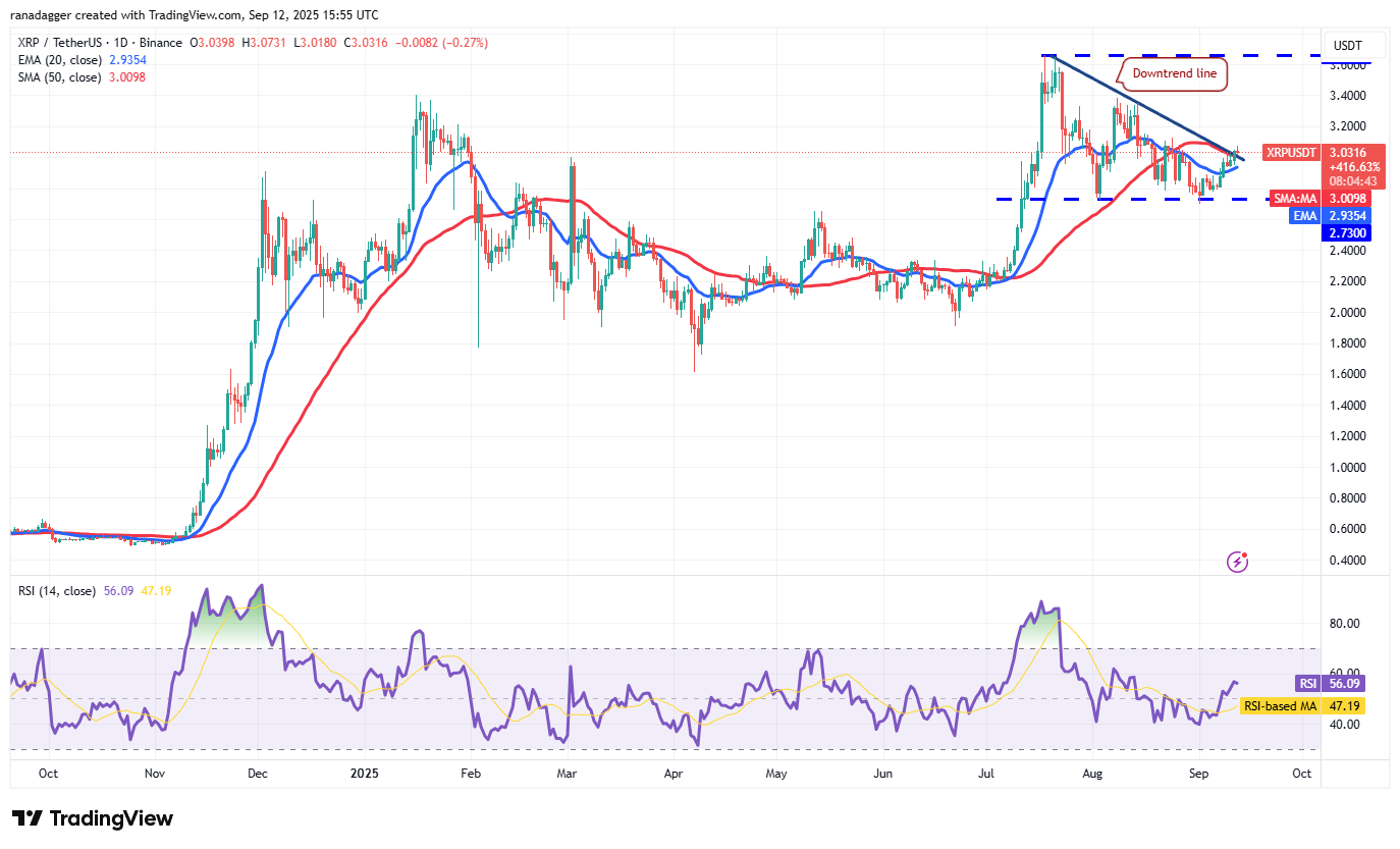 DogeCoin ، Cryptocurrency ، Bitcoin Price ، XRP ، Markets ، Cryptocurrency Exchange ، Cardano ، تحليل الأسعار ، عملة Binance ، Chainlink ، تحليل السوق ، سعر الأثير ، Solana ، Bitcoin ETF ، ETF ، SUI