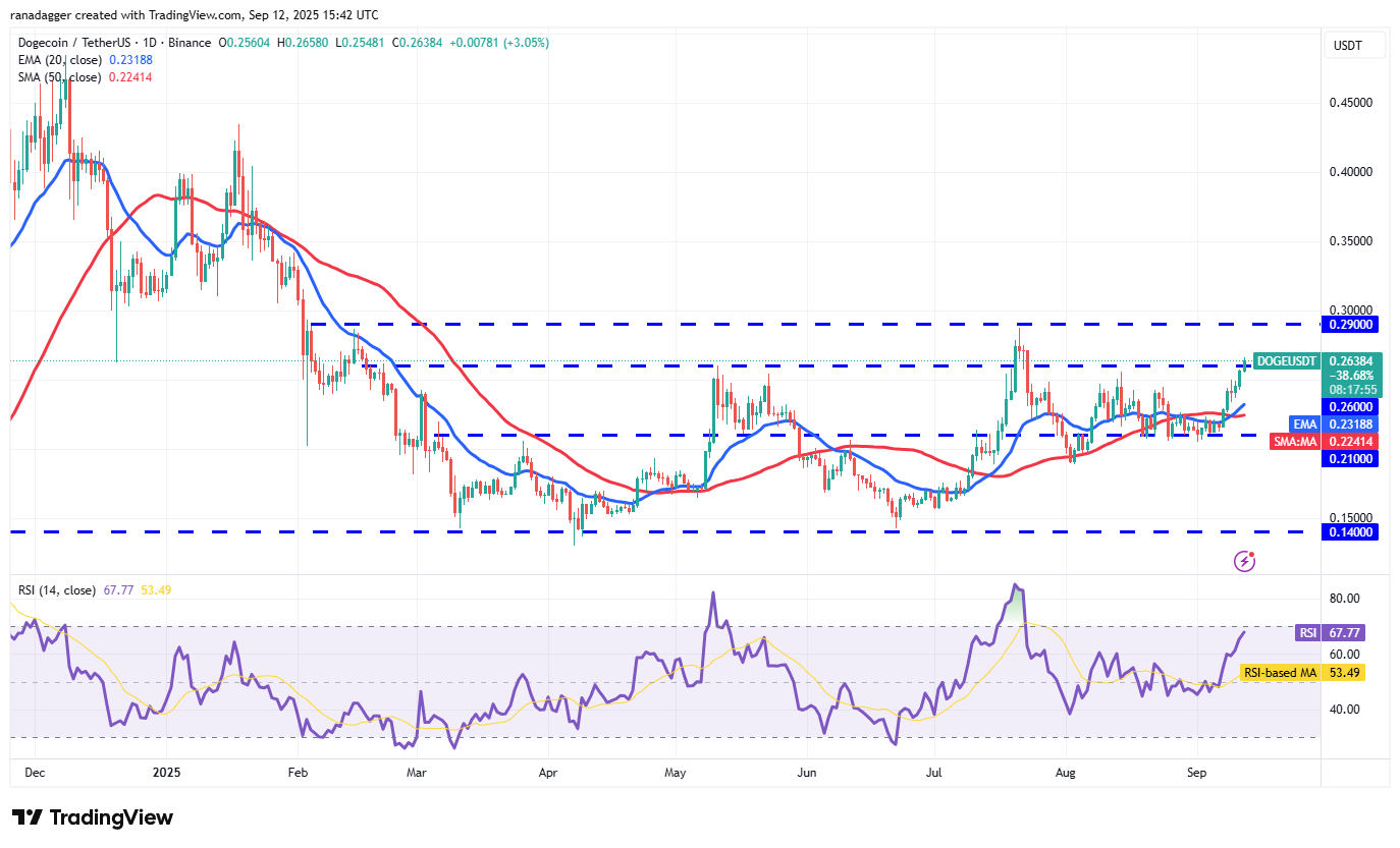 DogeCoin ، Cryptocurrency ، Bitcoin Price ، XRP ، Markets ، Cryptocurrency Exchange ، Cardano ، تحليل الأسعار ، عملة Binance ، Chainlink ، تحليل السوق ، سعر الأثير ، Solana ، Bitcoin ETF ، ETF ، SUI
