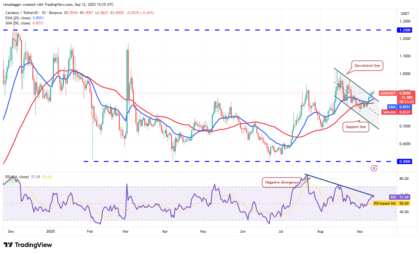 DogeCoin ، Cryptocurrency ، Bitcoin Price ، XRP ، Markets ، Cryptocurrency Exchange ، Cardano ، تحليل الأسعار ، عملة Binance ، Chainlink ، تحليل السوق ، سعر الأثير ، Solana ، Bitcoin ETF ، ETF ، SUI