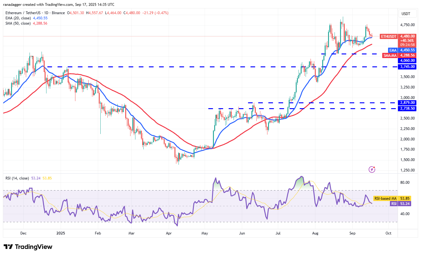 DogeCoin ، عملات مشفرة ، احتياطي فدرالي ، سعر البيتكوين ، XRP ، الأسواق ، تبادل العملة المشفرة ، سعر الفائدة ، توم لي ، Cardano ، تحليل الأسعار ، عملة Binance ، Chainlink ، FundStrat ، تحليل السوق ، سعر الأثير ، سولانا ، سوي