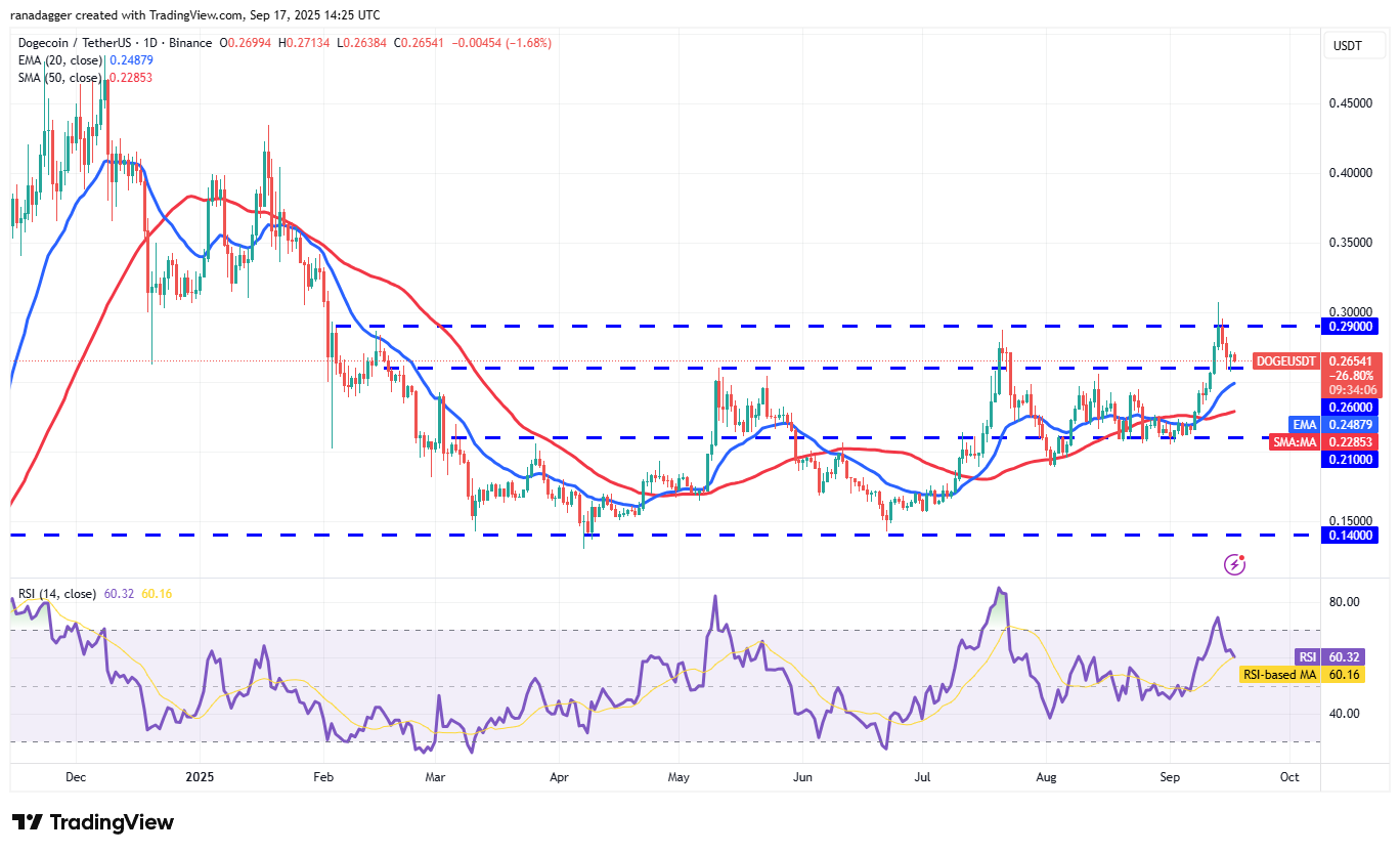 DogeCoin ، عملات مشفرة ، احتياطي فدرالي ، سعر البيتكوين ، XRP ، الأسواق ، تبادل العملة المشفرة ، سعر الفائدة ، توم لي ، Cardano ، تحليل الأسعار ، عملة Binance ، Chainlink ، FundStrat ، تحليل السوق ، سعر الأثير ، سولانا ، سوي