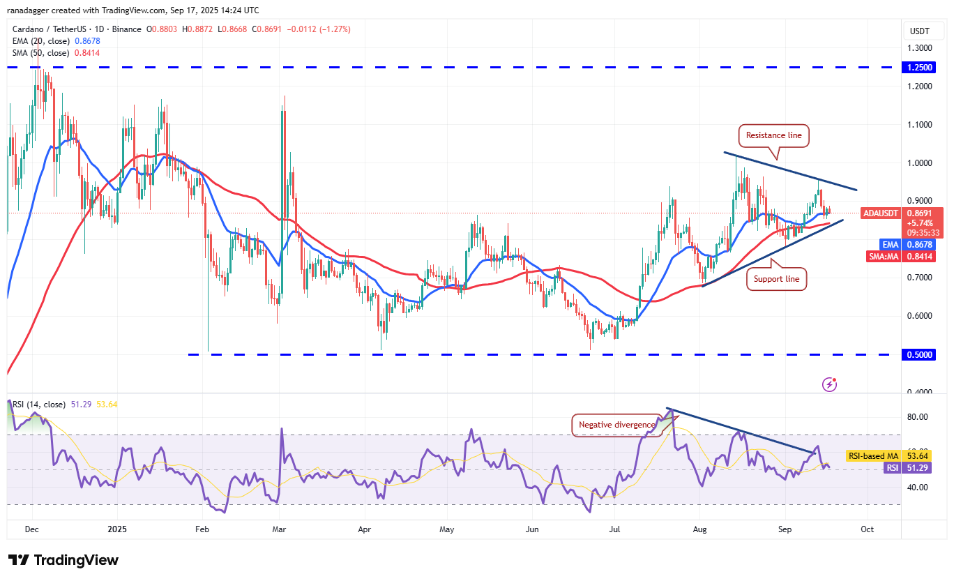 DogeCoin ، عملات مشفرة ، احتياطي فدرالي ، سعر البيتكوين ، XRP ، الأسواق ، تبادل العملة المشفرة ، سعر الفائدة ، توم لي ، Cardano ، تحليل الأسعار ، عملة Binance ، Chainlink ، FundStrat ، تحليل السوق ، سعر الأثير ، سولانا ، سوي
