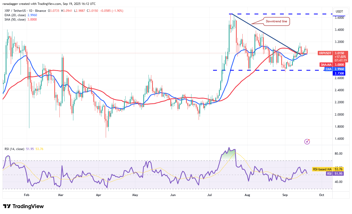 DogeCoin ، Cryptocurrency ، Bitcoin Price ، XRP ، Markets ، Cryptocurrency Exchange ، Cardano ، تحليل الأسعار ، عملة Binance ، Chainlink ، تحليل السوق ، سعر الأثير ، Solana ، Avalanche