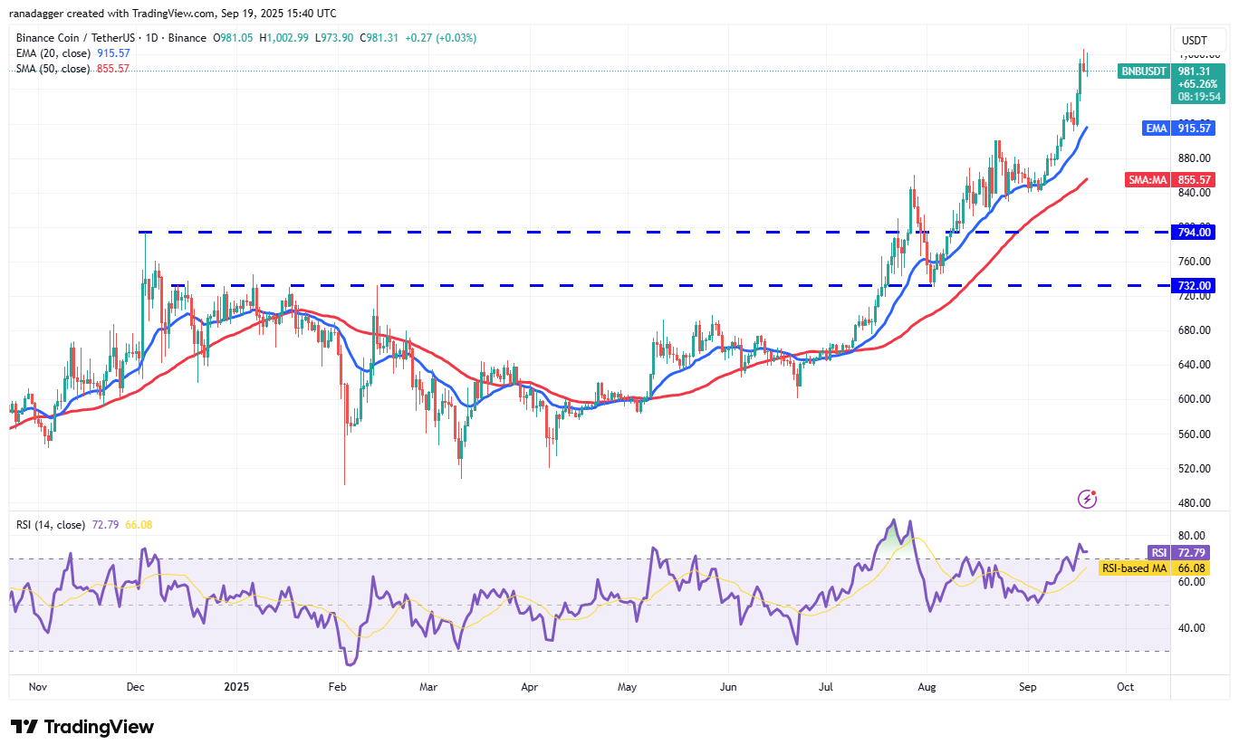 DogeCoin ، Cryptocurrency ، Bitcoin Price ، XRP ، Markets ، Cryptocurrency Exchange ، Cardano ، تحليل الأسعار ، عملة Binance ، Chainlink ، تحليل السوق ، سعر الأثير ، Solana ، Avalanche