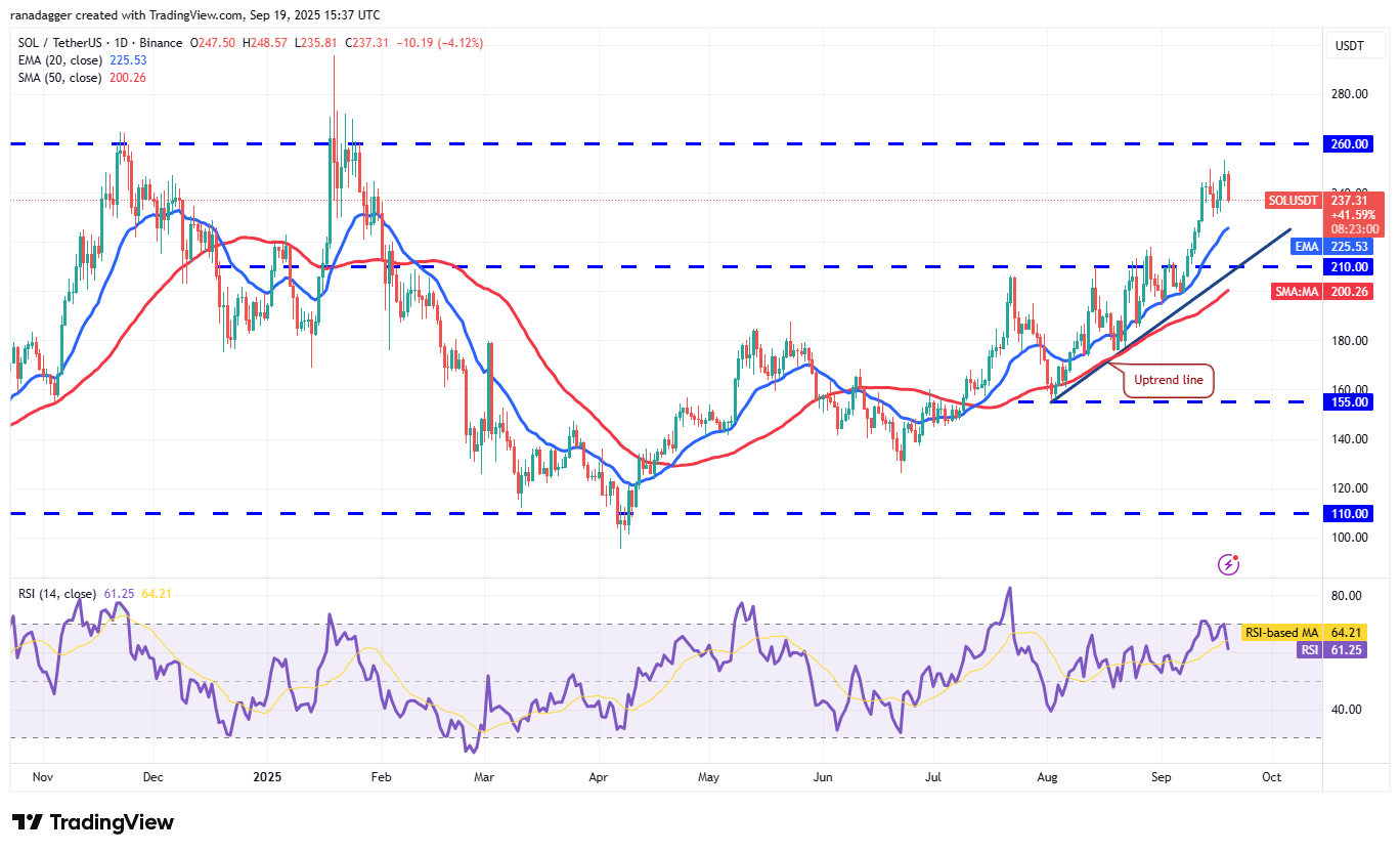 DogeCoin ، Cryptocurrency ، Bitcoin Price ، XRP ، Markets ، Cryptocurrency Exchange ، Cardano ، تحليل الأسعار ، عملة Binance ، Chainlink ، تحليل السوق ، سعر الأثير ، Solana ، Avalanche