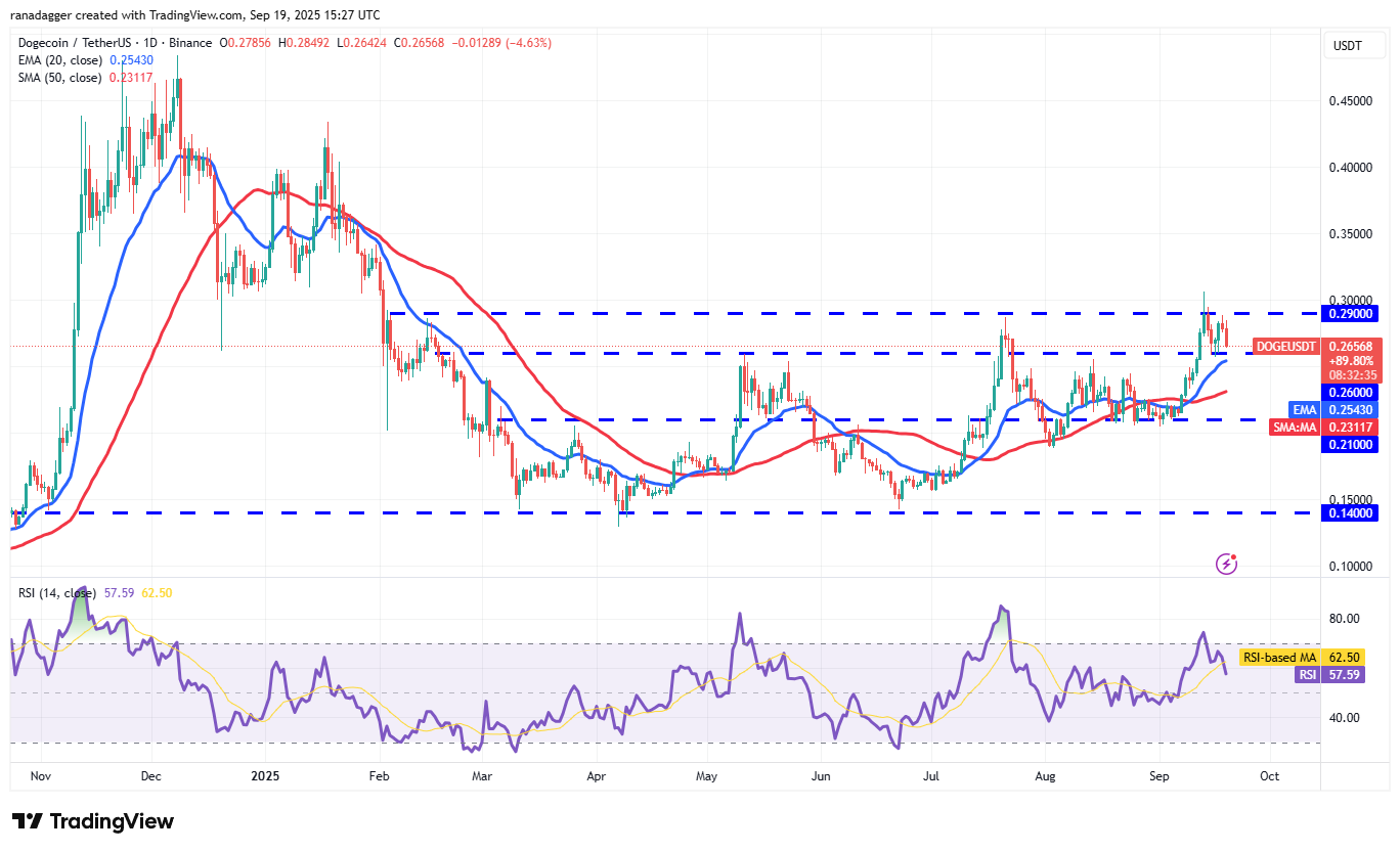 DogeCoin ، Cryptocurrency ، Bitcoin Price ، XRP ، Markets ، Cryptocurrency Exchange ، Cardano ، تحليل الأسعار ، عملة Binance ، Chainlink ، تحليل السوق ، سعر الأثير ، Solana ، Avalanche