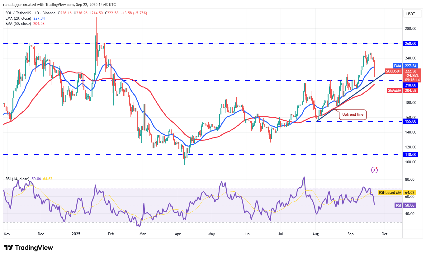 Dogecoin ، عملات مشفرة ، الاحتياطي الفيدرالي ، الدولار ، سعر البيتكوين ، XRP ، الأسواق ، الولايات المتحدة ، تبادل العملة المشفرة ، سعر الفائدة ، Cardano ، تحليل الأسعار ، عملة Binance ، تحليل السوق ، سعر الأثير ، Solana ، S & P 500