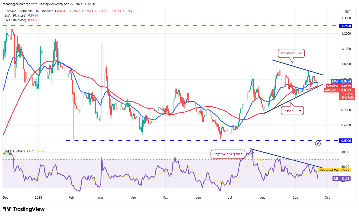 Dogecoin ، عملات مشفرة ، الاحتياطي الفيدرالي ، الدولار ، سعر البيتكوين ، XRP ، الأسواق ، الولايات المتحدة ، تبادل العملة المشفرة ، سعر الفائدة ، Cardano ، تحليل الأسعار ، عملة Binance ، تحليل السوق ، سعر الأثير ، Solana ، S & P 500