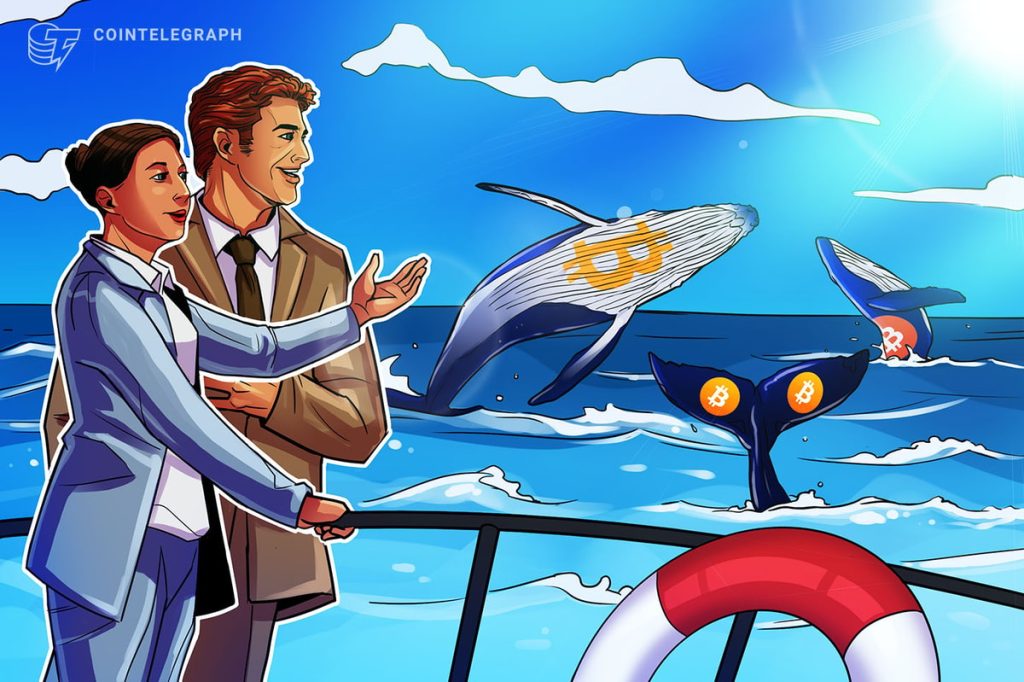 الحيتان تتاجر بمفاتيح البيتكوين من أجل الراحة