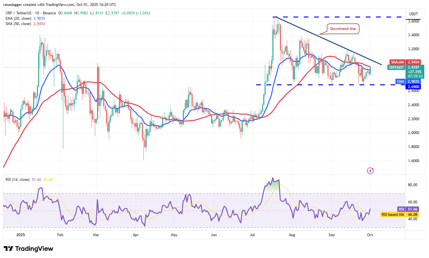 DogeCoin ، عملات مشفرة ، ذهبية ، سعر بيتكوين ، XRP ، تبادل العملة المشفرة ، Cardano ، تحليل الأسعار ، عملة Binance ، Chainlink ، تحليل السوق ، سعر الأثير ، Solana ، Avalanche