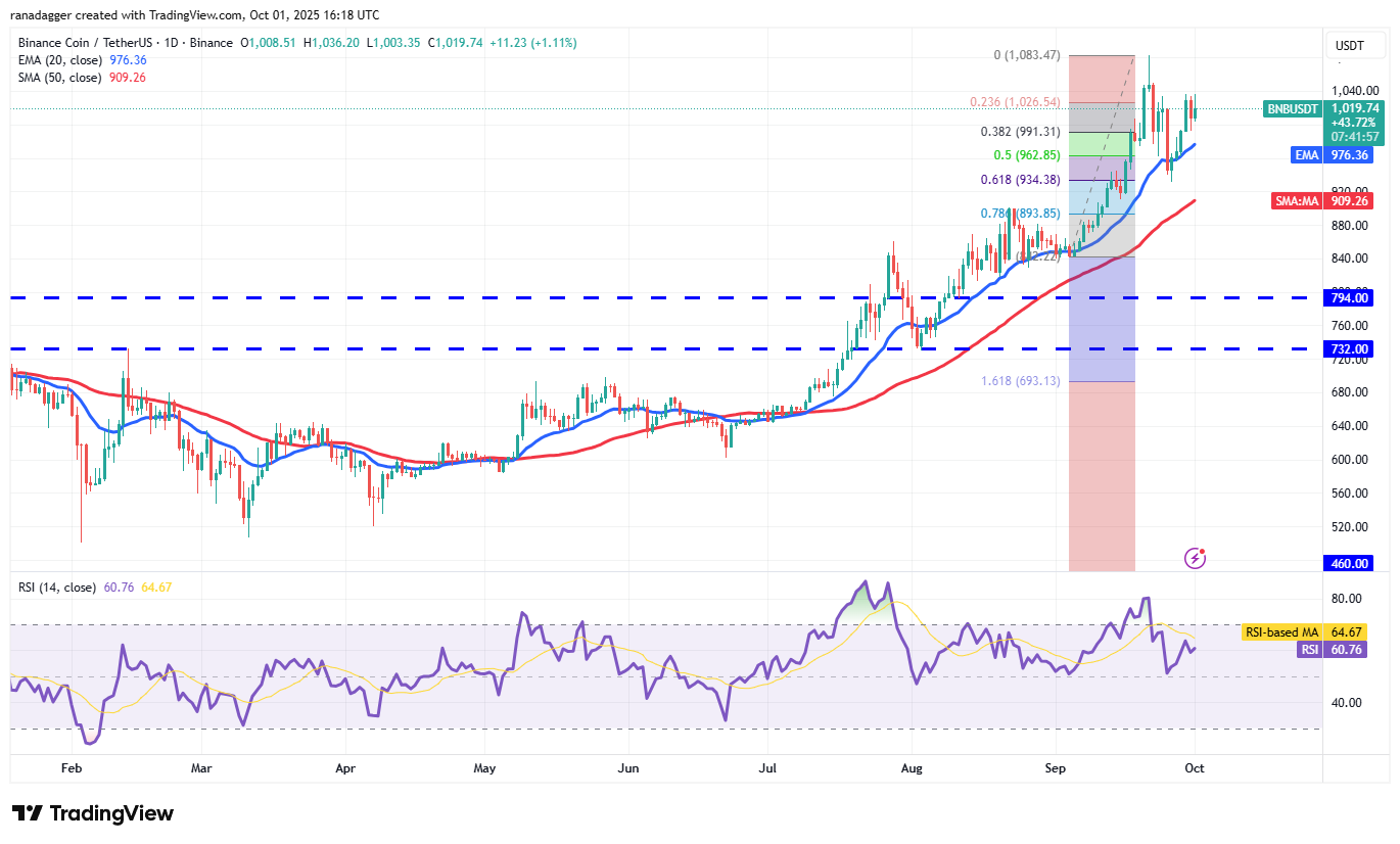 DogeCoin ، عملات مشفرة ، ذهبية ، سعر بيتكوين ، XRP ، تبادل العملة المشفرة ، Cardano ، تحليل الأسعار ، عملة Binance ، Chainlink ، تحليل السوق ، سعر الأثير ، Solana ، Avalanche