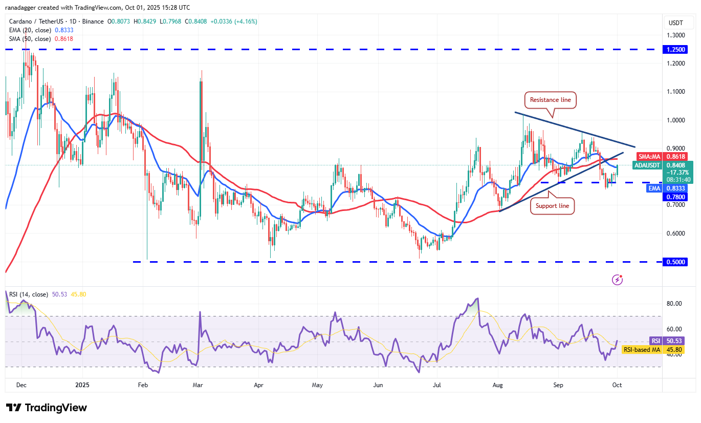 DogeCoin ، عملات مشفرة ، ذهبية ، سعر بيتكوين ، XRP ، تبادل العملة المشفرة ، Cardano ، تحليل الأسعار ، عملة Binance ، Chainlink ، تحليل السوق ، سعر الأثير ، Solana ، Avalanche