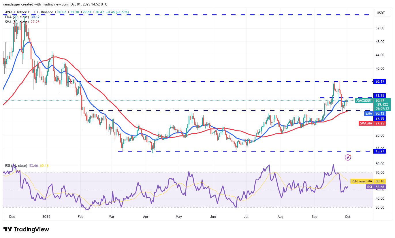 DogeCoin ، عملات مشفرة ، ذهبية ، سعر بيتكوين ، XRP ، تبادل العملة المشفرة ، Cardano ، تحليل الأسعار ، عملة Binance ، Chainlink ، تحليل السوق ، سعر الأثير ، Solana ، Avalanche