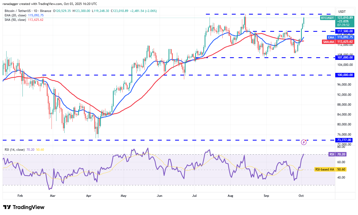 DogeCoin ، عملات مشفرة ، ذهبية ، سعر بيتكوين ، XRP ، الأسواق ، الولايات المتحدة ، تبادل العملة المشفرة ، Cardano ، تحليل الأسعار ، عملة Binance ، Chainlink ، تحليل السوق ، سعر الأثير ، Solana ، Bitcoin ETF ، ETF ، SUI