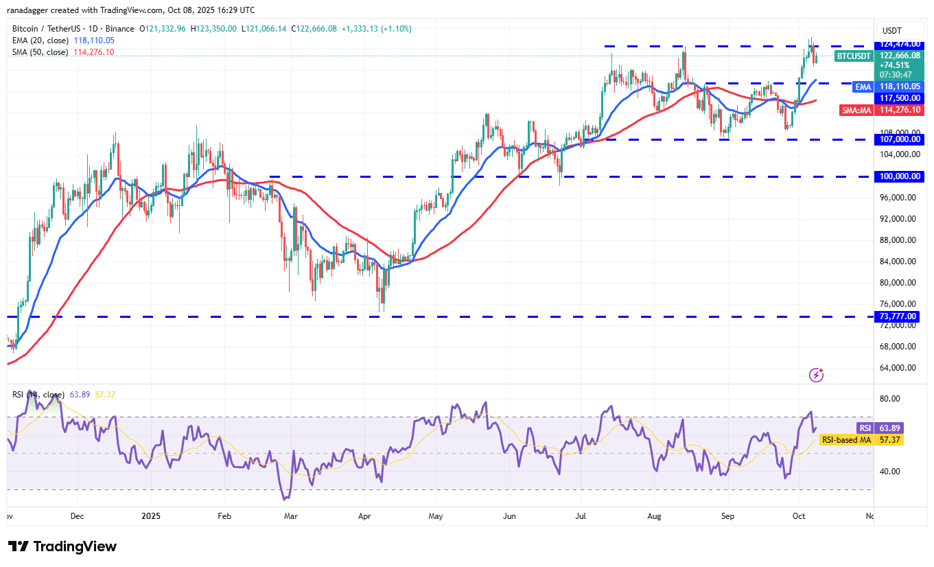 الدوجكوين، العملات المشفرة، سعر البيتكوين، XRP، الأسواق، تبادل العملات المشفرة، كاردانو، تحليل الأسعار، عملة باينانس، تشين لينك، تحليل السوق، سعر الأثير، سولانا، SUI