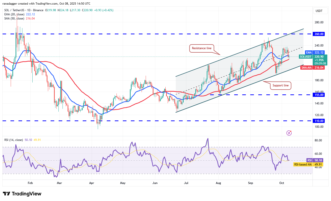 الدوجكوين، العملات المشفرة، سعر البيتكوين، XRP، الأسواق، تبادل العملات المشفرة، كاردانو، تحليل الأسعار، عملة باينانس، تشين لينك، تحليل السوق، سعر الأثير، سولانا، SUI