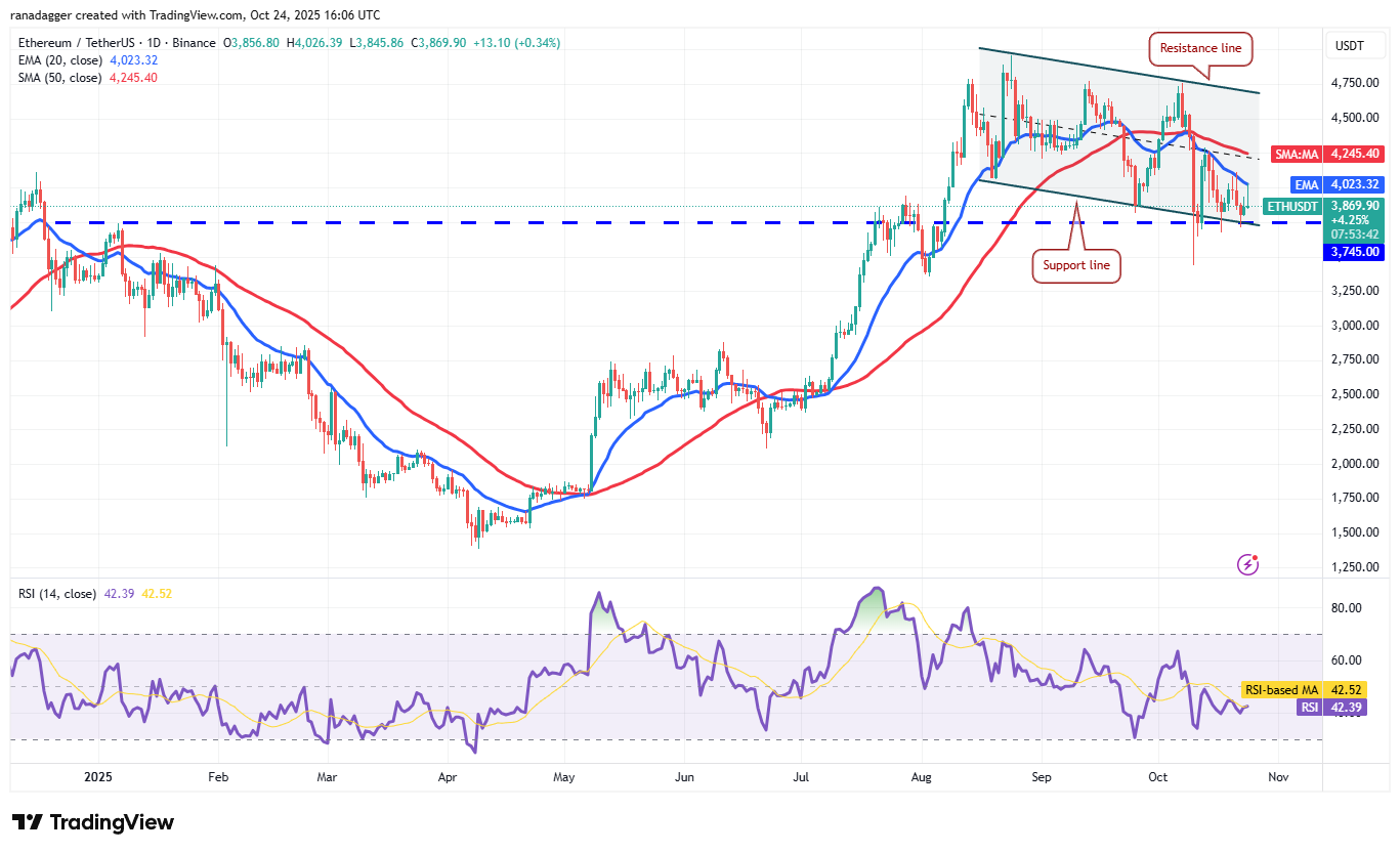 دوجكوين، العملات المشفرة، ستيلر، سعر البيتكوين، XRP، الأسواق، صرف العملات المشفرة، كاردانو، تحليل الأسعار، تشين لينك، تحليل السوق، سعر الأثير، سولانا، BNB