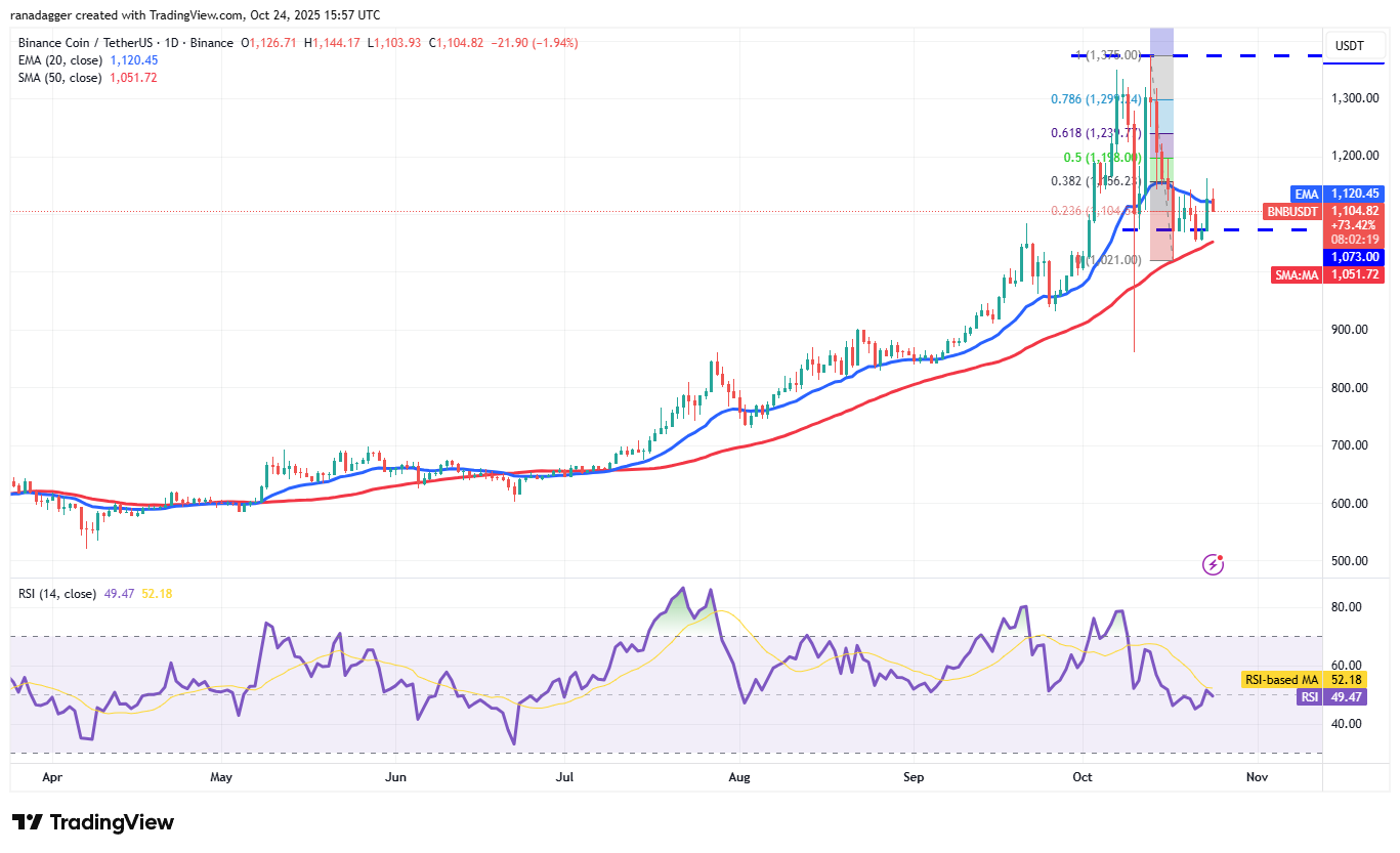 دوجكوين، العملات المشفرة، ستيلر، سعر البيتكوين، XRP، الأسواق، صرف العملات المشفرة، كاردانو، تحليل الأسعار، تشين لينك، تحليل السوق، سعر الأثير، سولانا، BNB