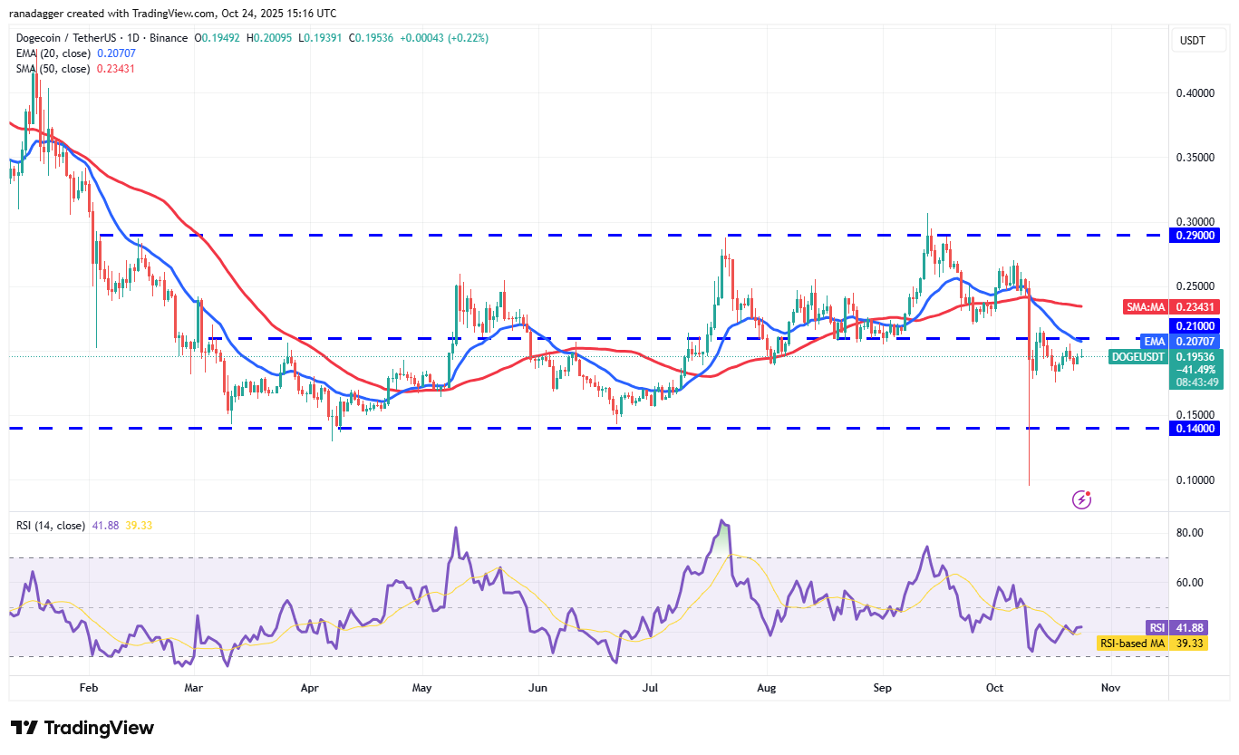 دوجكوين، العملات المشفرة، ستيلر، سعر البيتكوين، XRP، الأسواق، صرف العملات المشفرة، كاردانو، تحليل الأسعار، تشين لينك، تحليل السوق، سعر الأثير، سولانا، BNB
