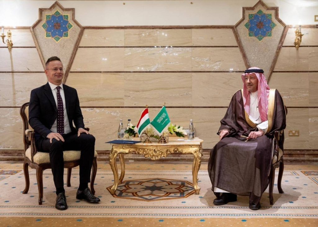 نائب وزير الخارجية يلتقي وزير خارجية المجر