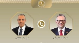 أمريكا ومصر تؤكدان ضرورة وقف إطلاق النار في السودان وإجراء انتخابات في ليبيا