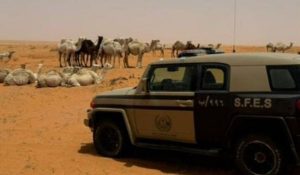 ضبط مواطن لارتكابة مخالفة رعي في محمية الإمام تركي بن عبدالله الملكية
