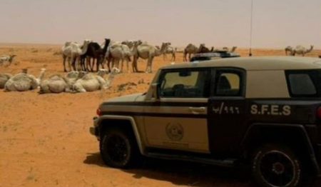 ضبط مواطن لارتكابة مخالفة رعي في محمية الإمام تركي بن عبدالله الملكية