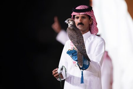 بيع شاهين فرخ في الليلة الـ 15 لمزاد نادي الصقور السعودي 2025