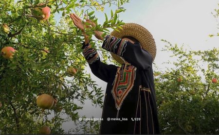 انطلاق موسم الرمان السعودي لتعزيز الاكتفاء الذاتي ودعم المزارعين المحليين