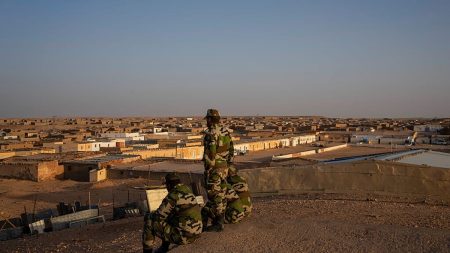 فيديو – المغرب: احتفالات شعبية عقب تصويت مجلس الأمن لصالح خطة الرباط بشأن الصحراء الغربية