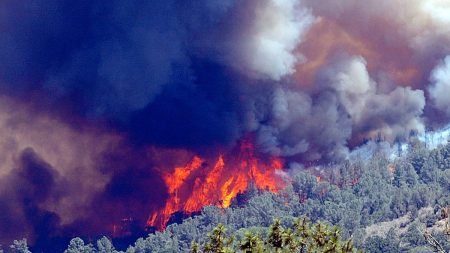 حرائق تجتاح ثماني ولايات بالجزائر وتهدد السكان في تيبازة