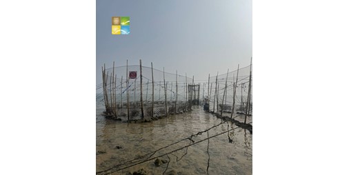 «البيئة»: تحرير مخالفة لصاحب «حظرة» مرخصة في شاطئ المنقف