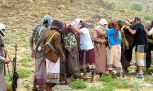 تقرير أممي: الحوثي يدرب القاعدة ويعالج عناصرها