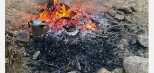 ضبط مواطن لإشعاله النار في غير الأماكن المخصصة بمحمية الملك عبدالعزيز الملكية