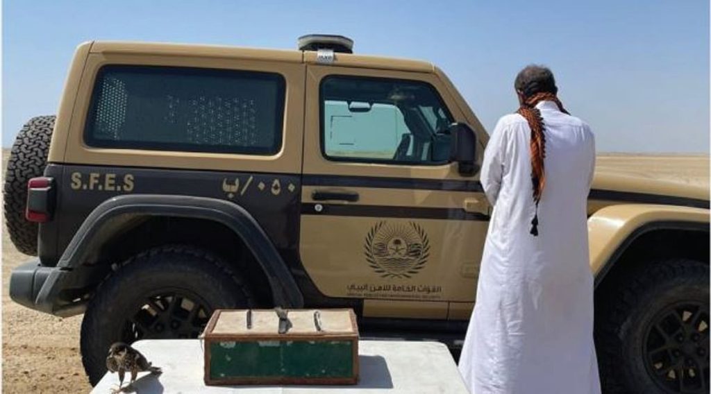 بحوزته صقر و3 كائنات فطرية.. القبض على مواطن لارتكابه الصيد دون ترخيص في ينبع