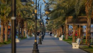 حدائق عرعر تستقبل الزوار مع اعتدال الأجواء وزراعة أكثر من 36 ألف شجرة