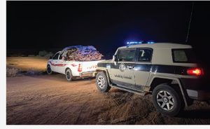 شرطة محافظة المهد بمنطقة المدينة المنورة تضبط مواطنًا بحوزته حطب محلي معروض للبيع