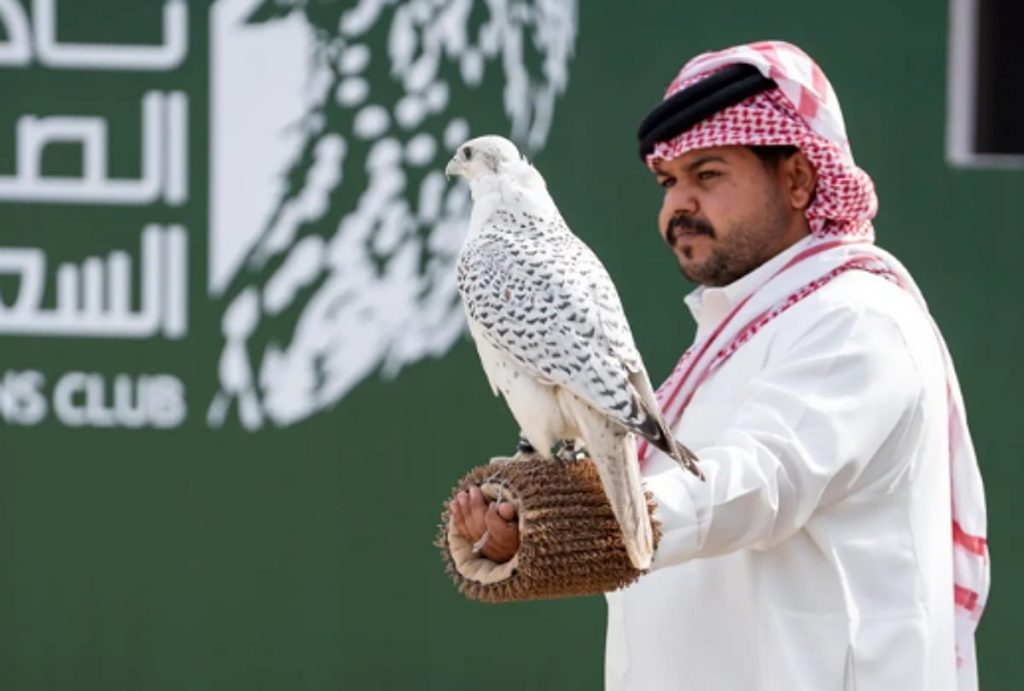 صقور المحترفين تتنافس على جوائز كأس نادي الصقور السعودي 2025 في رابع أيامه