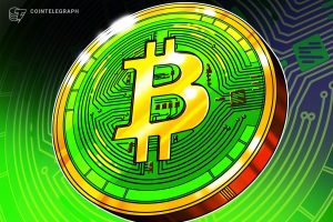 أصبحت Bitcoin Cash هي المستوى الأول الأفضل أداءً لهذا العام مع مكاسب بنسبة 40٪