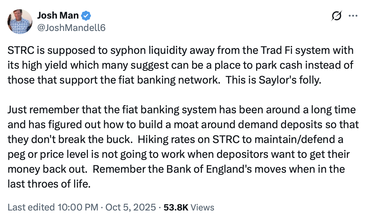 مايكروستراتيجية، مايكل سايلور