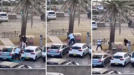 مسلم أعزل ولا يمتلك خبرة في الأسلحة.. من هو الرجل الذي انتزع بندقية مطلق النار في هجوم سيدني؟