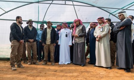 مشروع زراعة مليون شتلة بمحمية الملك عبدالعزيز الملكية