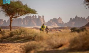 رفع إيقاف بيع العقارات في العلا: فتح أبواب الاستثمار والتنمية