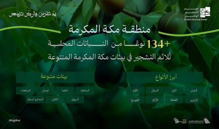 البرنامج الوطني للتشجير: تنوع بيئي فريد يُسهم في انتشار 134 نوعًا من النباتات المحلية الملائمة للتشجير في مكة المكرمة