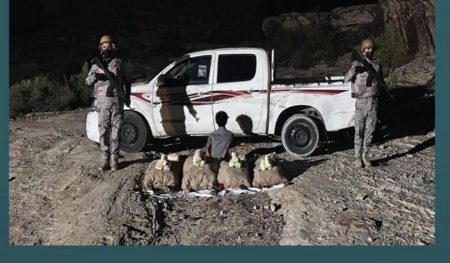 القبض على مواطن بعسير لتهريبه 160 كيلوجرامًا من القات