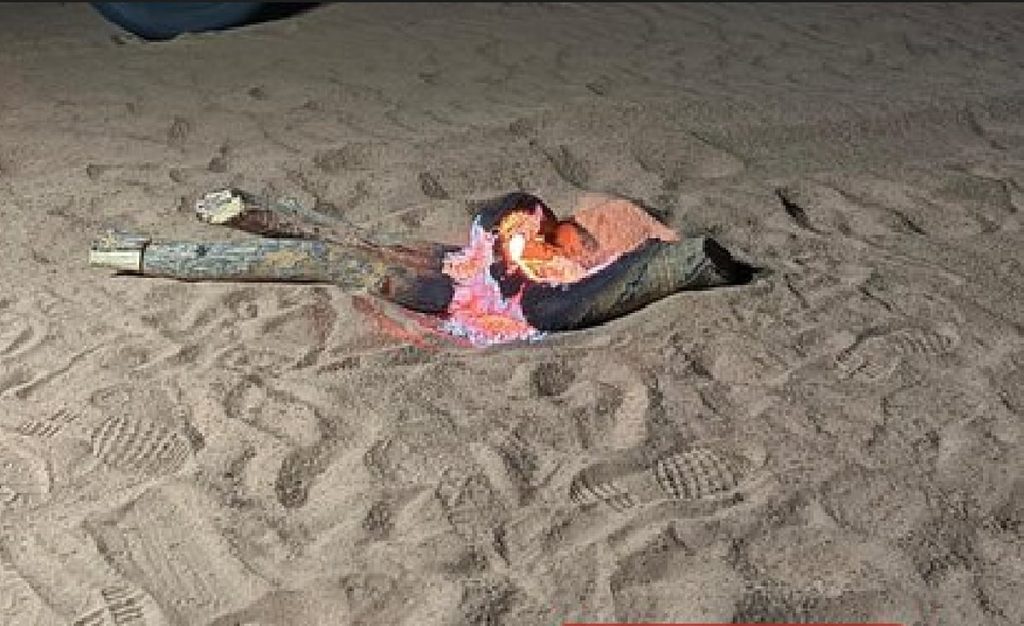 «الأمن البيئي» يضبط مخالفًا لإشعاله النار في غير الأماكن المخصصة لها بالمدينة المنورة