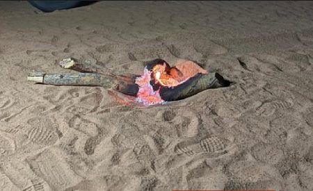 «الأمن البيئي» يضبط مخالفًا لإشعاله النار في غير الأماكن المخصصة لها بالمدينة المنورة