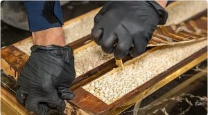 متحدث الزكاة: جميع منافذنا الجمركية تعمل على مدار الساعة لضمان الرقابة الفعالة