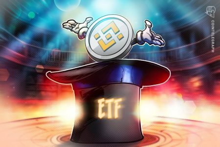 ملفات ذات تدرج رمادي لـ Spot BNB ETF مع SEC